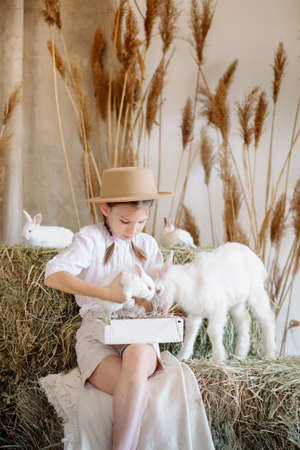 Cute farm girl hugs and feeds her little white goat with hay: Easter themeの写真素材