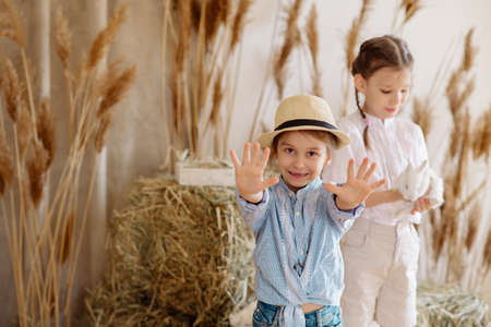 Sister girls in rustic clothes and hats play with white rabbits in the hayloft, feed them and take care of the petsの写真素材