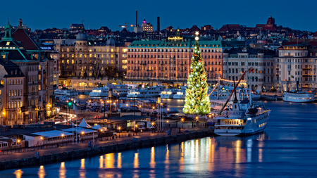 Ready for the Christmas, Stockholm, Sweden - Nov 30, 2015 : One of the world's tallest Christmas tree is now ready for the X-mas 2015 in Sweden. This tree is located in the old town of Stockholm Center.のeditorial素材