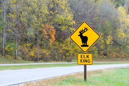 Horizontal Elk Crossing Traffic Signの写真素材