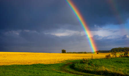 Epic Rainbow over a canola fieldの写真素材