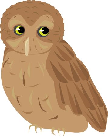An illustration of a screech owl.のイラスト素材