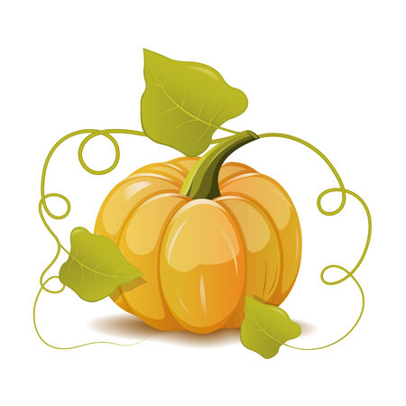 Pumpkin with leavesのイラスト素材