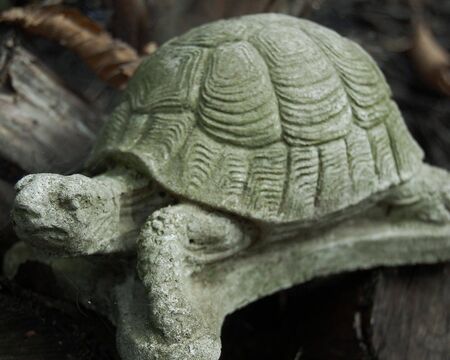 Garden sculpture of turtleの写真素材