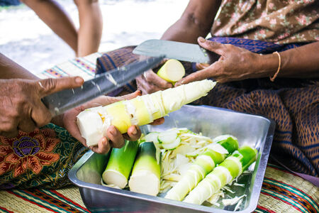 Chopped bamboo shoots for cookingの写真素材
