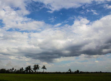Field on the sky filled with white clouds .の写真素材
