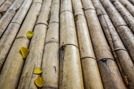 The surface is made ??of bambooの写真素材
