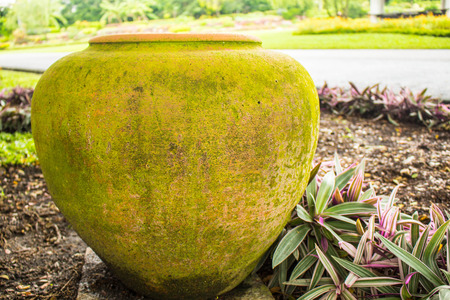 Situated within a water jarの写真素材