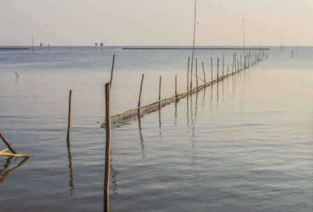 Bamboo net in the sea water.の写真素材