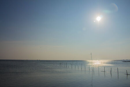 Sun light and sea in the afternoonの写真素材