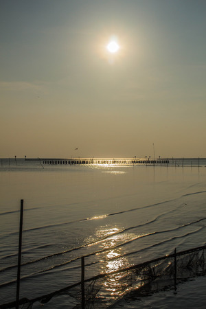 Sun in the sky and the ocean environment.の写真素材
