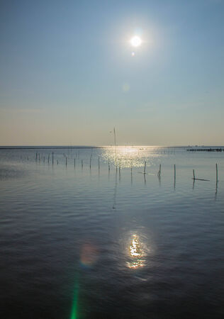 Sun light on the sea.の写真素材