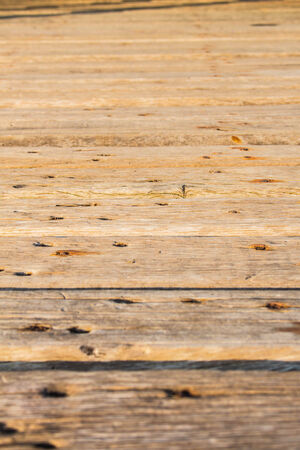 Surface of the wooden walkway.の写真素材