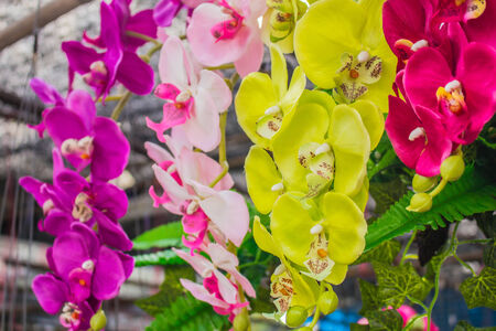 The colorful flower sticker bully.の写真素材