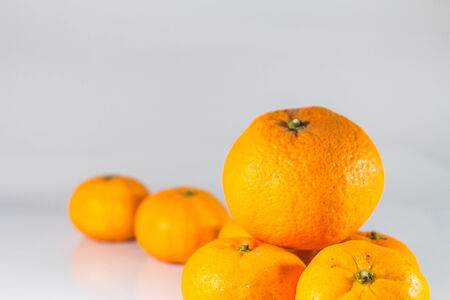 Citrus fruits are placed together on the floor.の写真素材