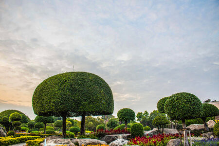 Post a dwarf garden decorative shapes.の写真素材