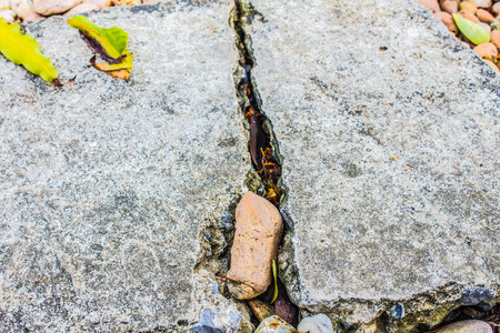 Walk the cracks in the garden.の写真素材