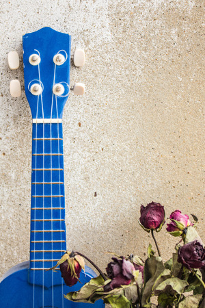 Dried roses in a vase and ukulele at wall.の写真素材