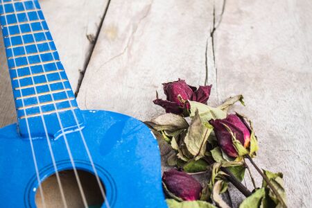 Dried roses and ukulele on a table.