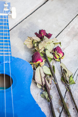 Dry roses on a wooden ukulele.の写真素材
