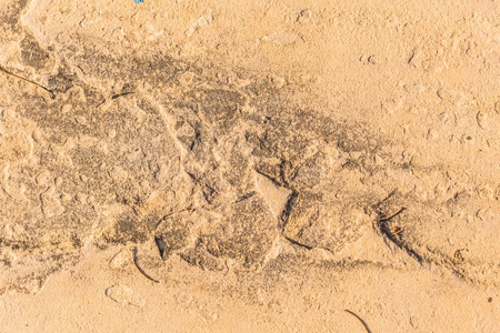 Surface made of concrete pavement.の写真素材