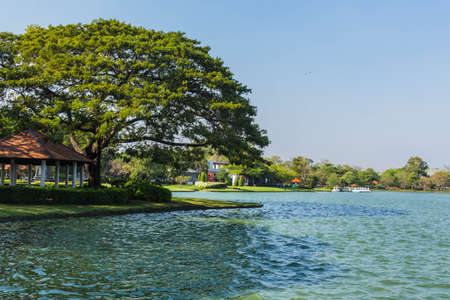 Trees and ponds in the gardenの写真素材