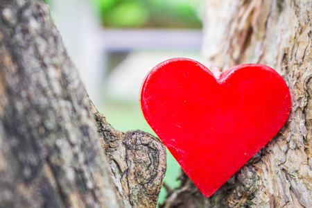 Heart of independence on the natural path.の写真素材