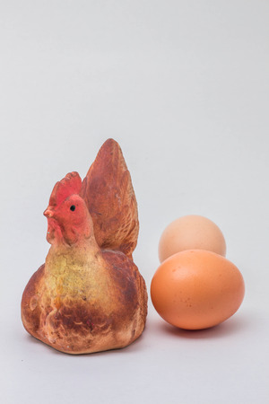 Chicken and egg with isolated of background.の写真素材