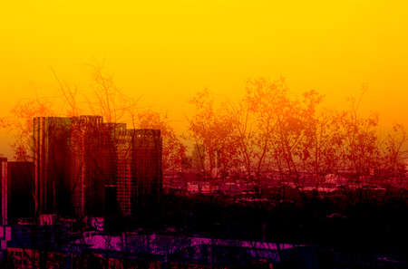 The city of a treeの写真素材