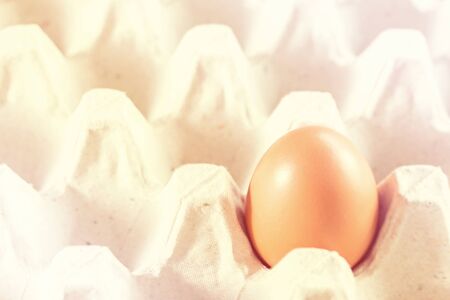 single egg lay on a tray.の写真素材