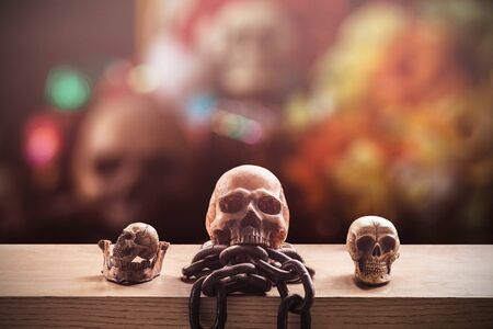 Skull on a wooden floor with a colorful of background.