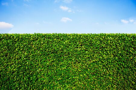 Wall ornamental of fence with a blue sky.の写真素材