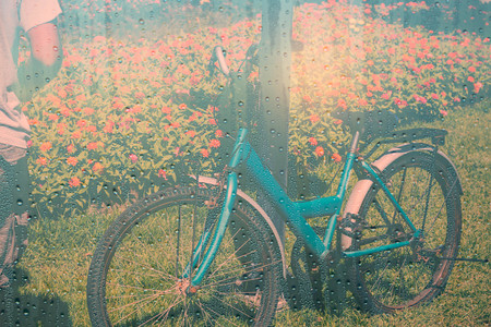 Old bike in the garden of the rainy season.の写真素材