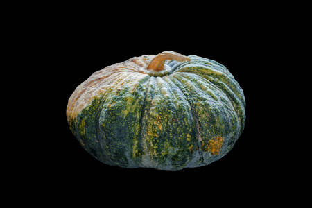 Fresh pumpkin on a black backgroundの写真素材