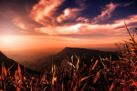 The dry grass on mountain with the sky in summer.の写真素材