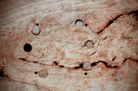 The texture and detail of old wood.の写真素材