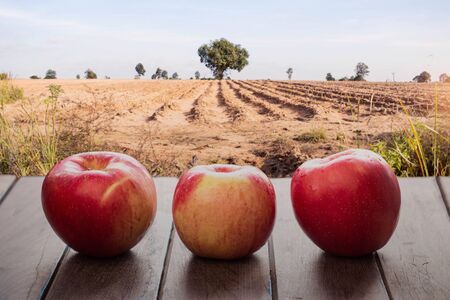 Apples fresh from the farm on the wooden floor.