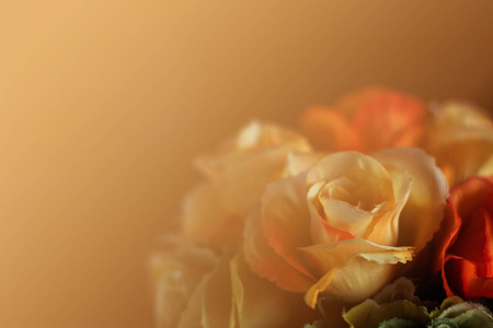 bouquet of roses with light shining behind.の写真素材