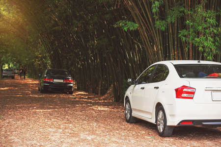 Visitors car park at the Bamboo Garden.の写真素材