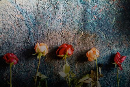 Roses wither on the paper with of art.の写真素材