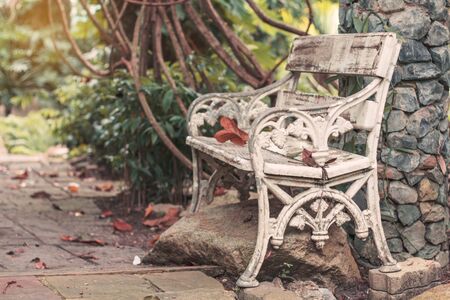 Old chairs with nature in the park.の写真素材