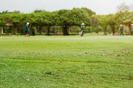 Grass trimmed with women sweeping the floor clean.の写真素材