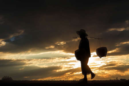 Farmers went to the basket on the field with silhouettes.の写真素材