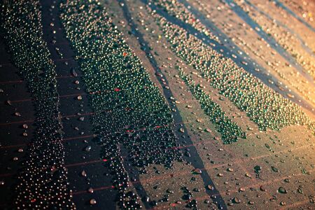 Colorful drops of water on the glass with the sun in the morning.の写真素材