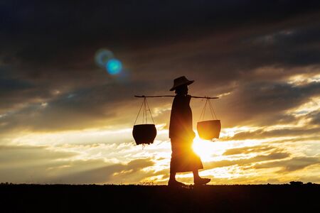 Farmers are walking of basket at sunset.の写真素材