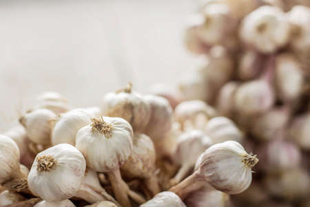 Dried garlic on wood with white background.の写真素材