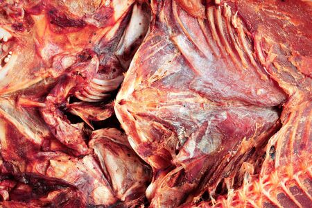 Detailed surface of dried fish.の写真素材