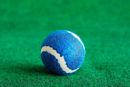 Tennis ball on the green lawn.の写真素材