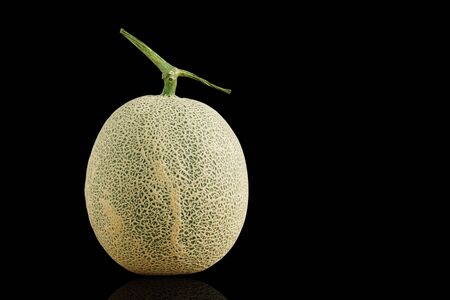 Green of melon on a black background.の写真素材