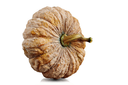 Yellow pumpkin on a white background.の写真素材
